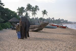 Beruwela - Wiki By Columbus Tours Sri Lanka