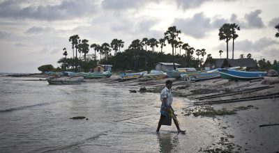 A fisherman collects seaweed along the Mathagal beach. AusAID partnering with International Organisation for Migration (IOM) has supported the recovery of the Mathagal fishing community.