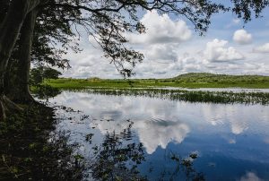 Habarana - wiki by Columbus Tours Sri Lanka