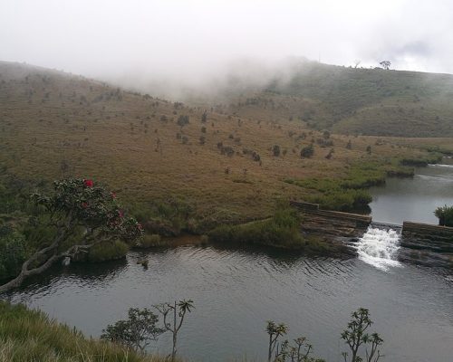 Horton Plains - Wiki by Columbus Tours Sri Lanka