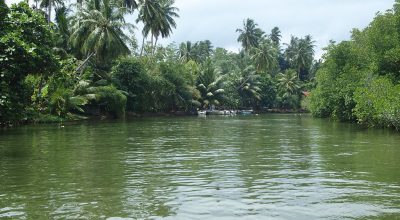 Madu Ganga - Wiki by Columbus Tours Sri Lanka