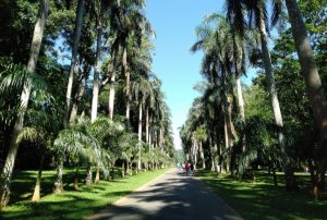 Peradeniya - Wiki By Columbus Tours Sri Lanka