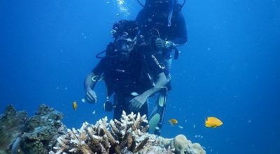 Scuba Diving - Wiki by Columbus Tours Sri Lanka