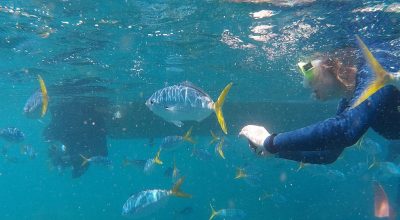 Snorkeling - Wiki by Columbus Tours Sri Lanka