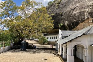 Sri Lanka - dambulla cave temple 5 Columbus Tours Sri Lanka (69)