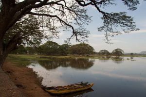 A view over Tissa Lake near Tissamaharama, Sri Lanka