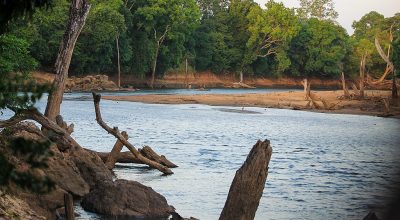 Udawalawe - Wiki by Columbus Tours Sri Lanka