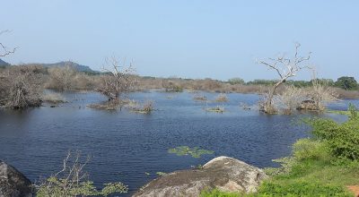 Yala - Wiki by Columbus Tours Sri Lanka