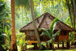 palm-paradise-cabanas